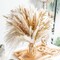 100PCS Natural Dried Pampas Grass Boho Home Decor Bouquet Phragmites Dried Flowers Bouquet for Wedding Floral Arrangements Home Decorations